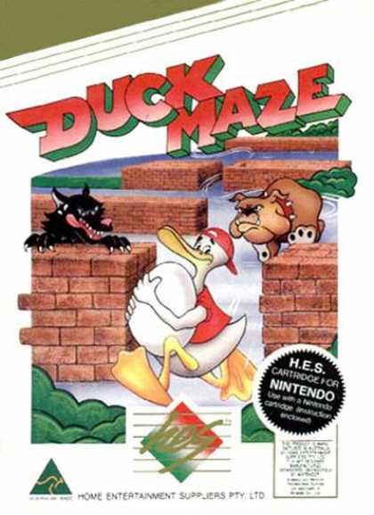 Duck Maze HES